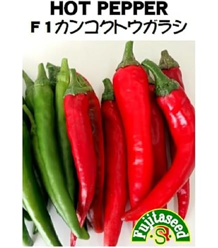 Amazon.co.jp: 辛 とうがらし 種子 牛角大王 20粒 トウガラシ （中国大